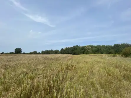 Wólka bałtowska   11