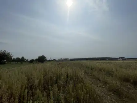 Wólka bałtowska   12