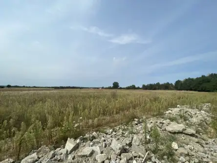 Wólka bałtowska   13