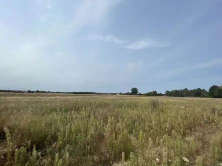 Wólka bałtowska   14