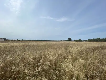 Wólka bałtowska   16