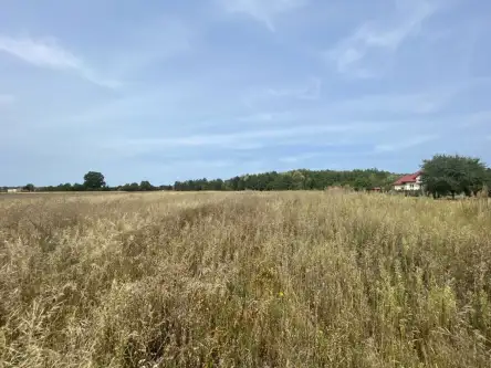 Wólka bałtowska   18