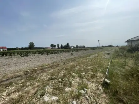 Wólka bałtowska   19