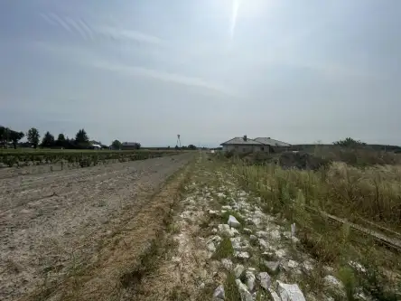 Wólka bałtowska   8