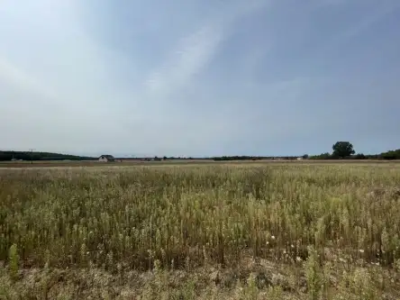 Wólka bałtowska   9