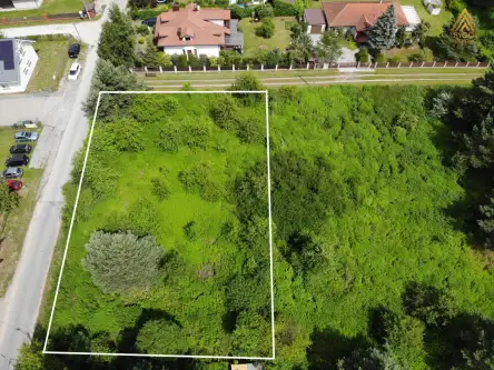 łoś ,  Spółdzielcza   5