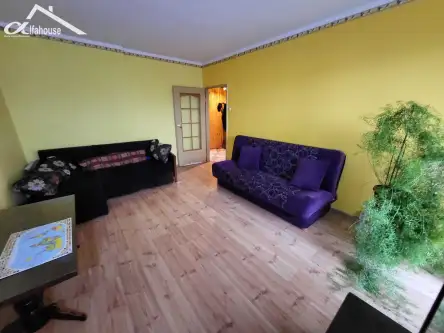 Chełm ,  Henryka Wieniawskiego   5