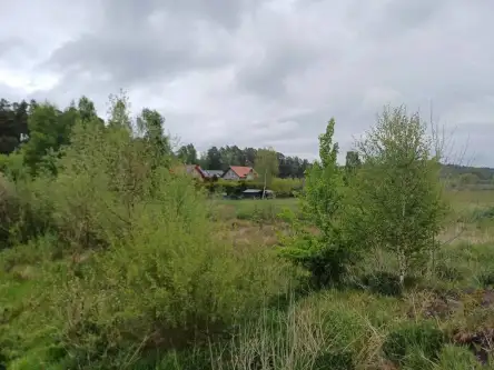 Leźno ,  Jagodowe Wzgórze   9