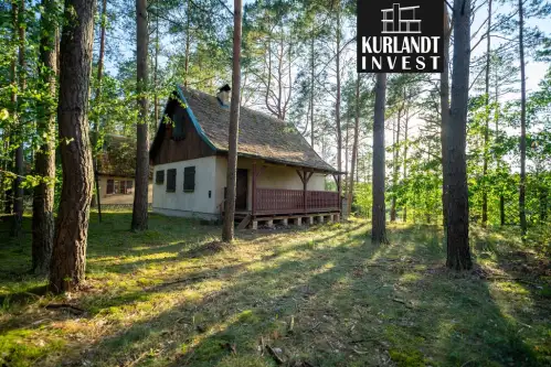 Kowalskie błota   2