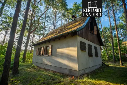 Kowalskie błota   5