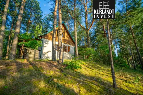 Kowalskie błota   6