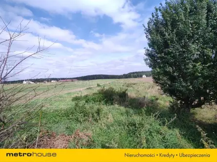 Jamielnik ,  Nowomiejska   14