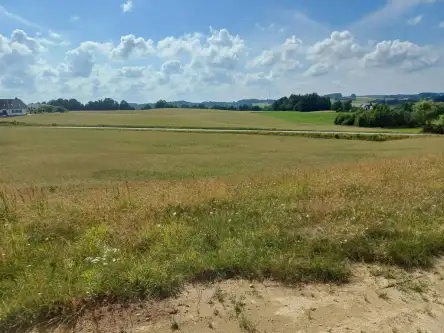 Borzestowska huta   9