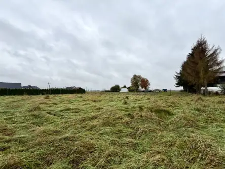 Wola zabierzowska   11