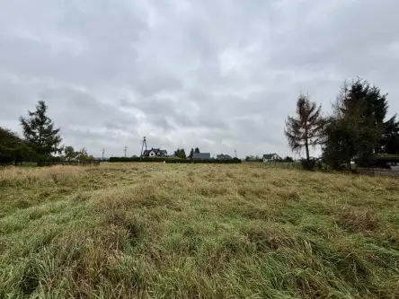 Wola zabierzowska   17