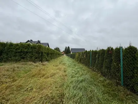 Wola zabierzowska   19