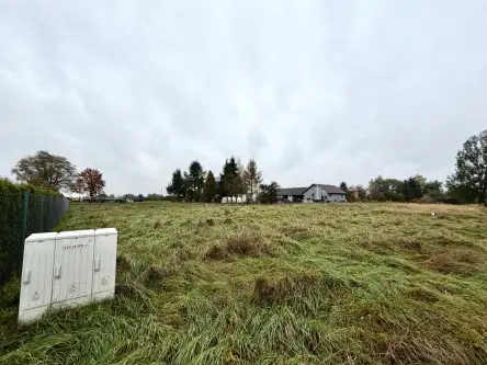 Wola zabierzowska   7