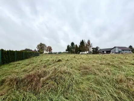 Wola zabierzowska   8