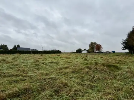 Wola zabierzowska   9