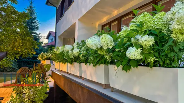 Piaseczno ,  Pomorska   8