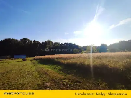 Radlin ,  Wiosenna   2