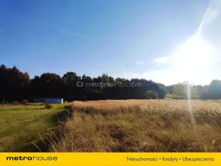 Radlin ,  Wiosenna   5