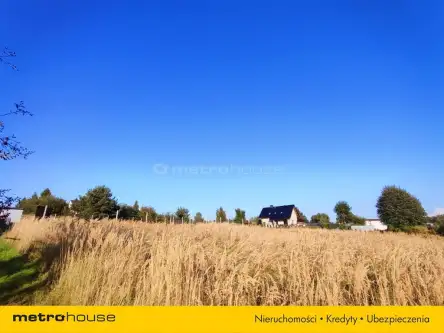 Radlin ,  Wiosenna   7