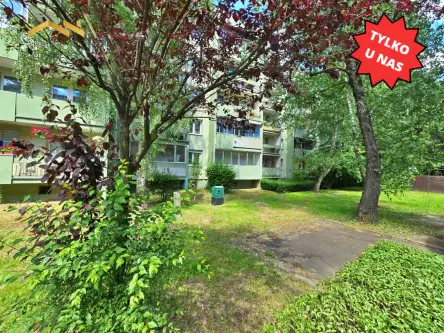 Kraków ,  Leonida Teligi   17