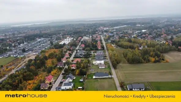 Stasi las ,  Prosta   2