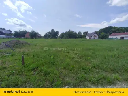 Rudno ,  Stary sad   2