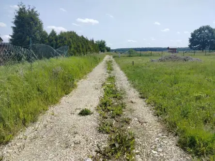 Rudno ,  Stary sad   3