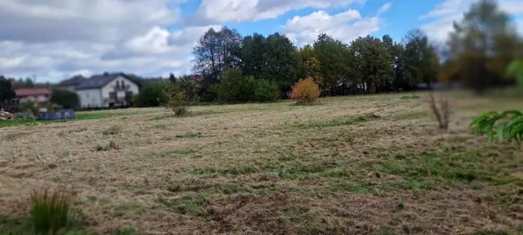 Brodła ,  św. Floriana   6