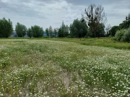 Malbork ,  Toruńska   4