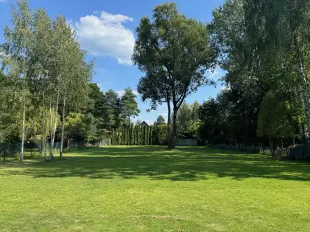 Złotokłos ,  Staszica   2