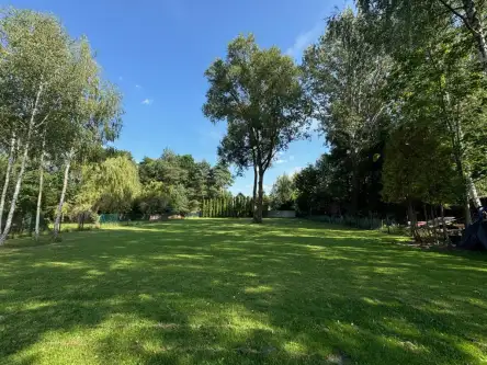 Złotokłos ,  Staszica   3