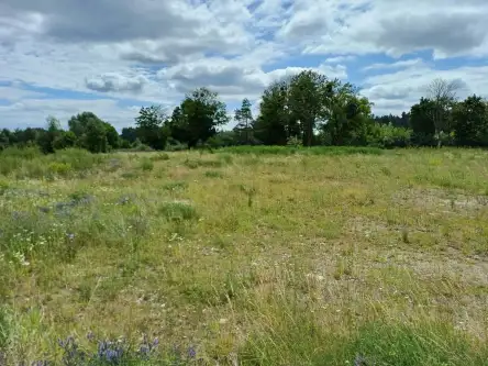 Trzcińsk ,  Dębowa   9