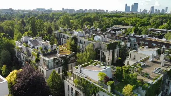 Warszawa ,  Biały Kamień   14