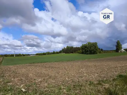  Skorzewo   Łubinowa 