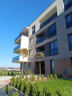 Gliwice ,  Mazowieckiego   20