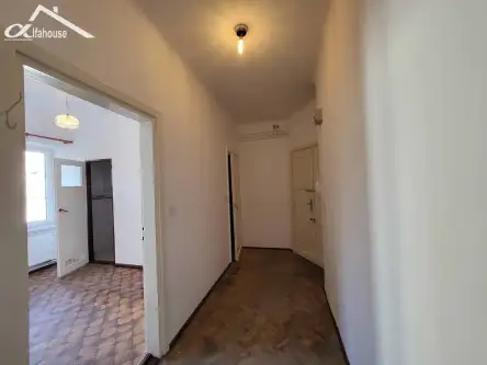 Chełm ,  Wołyńska    7