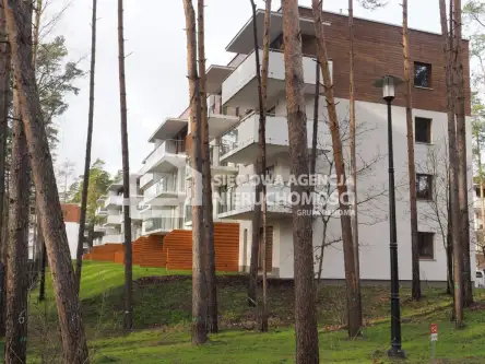 Stegna ,  Lipowa   6