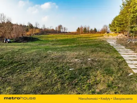 Gutkowo ,  Żurawia   11