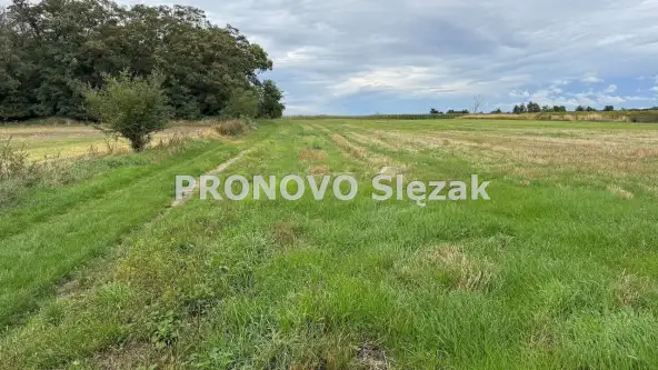 Lutynia ,  Czereśniowa   6