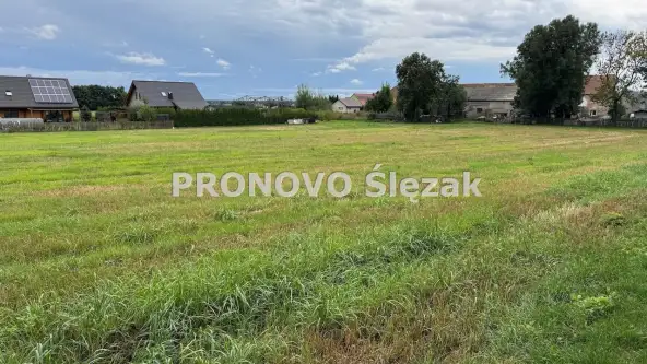 Lutynia ,  Czereśniowa   