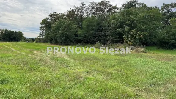 Lutynia ,  Czereśniowa   3