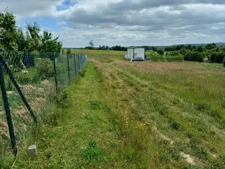 Kamela ,  Wiktorii   4