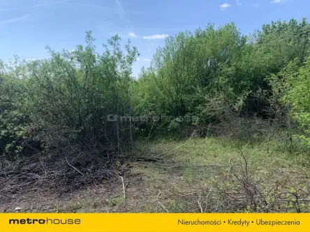 Zawiercie ,  Wyspiańskiego   3