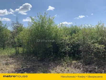 Zawiercie ,  Wyspiańskiego   4