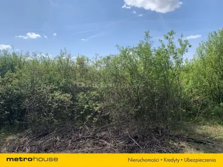 Zawiercie ,  Wyspiańskiego   5