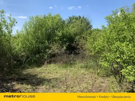 Zawiercie ,  Wyspiańskiego   6